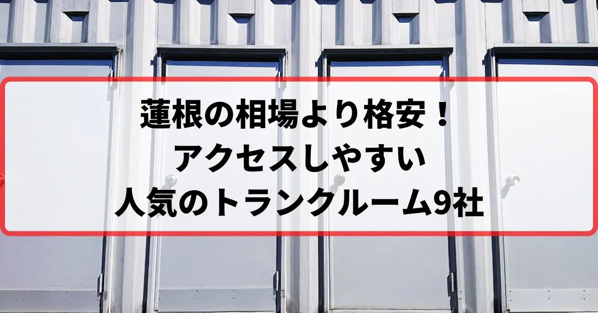 蓮根の相場より格安！おススメトランクルームランキング